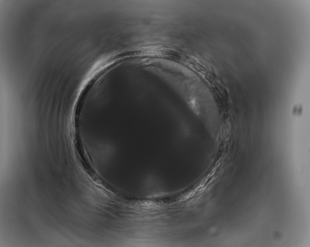 X0000098130198200805011328