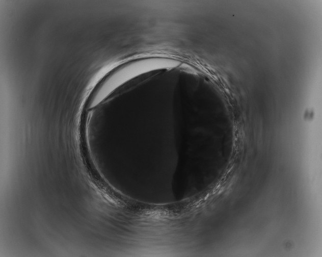 X0000098130200200805011328