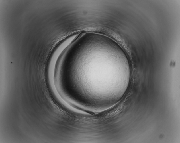 X0000098130201200805011328