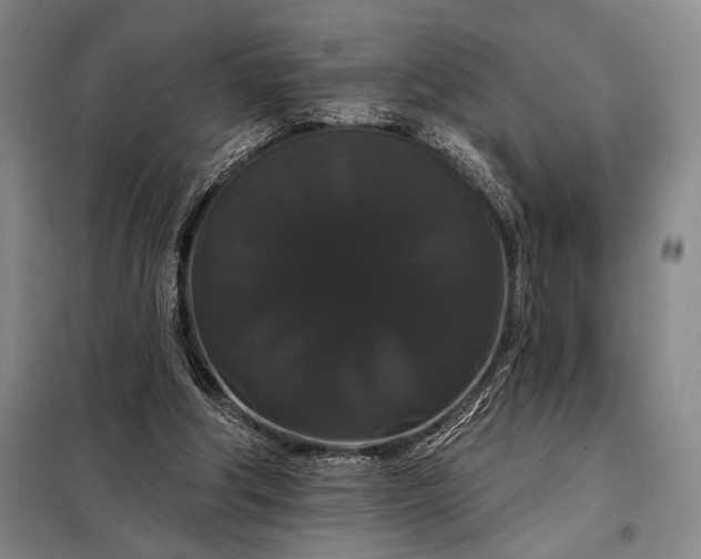 X0000098130202200805011328