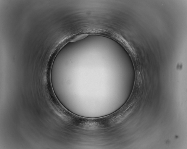 X0000098130203200805011328