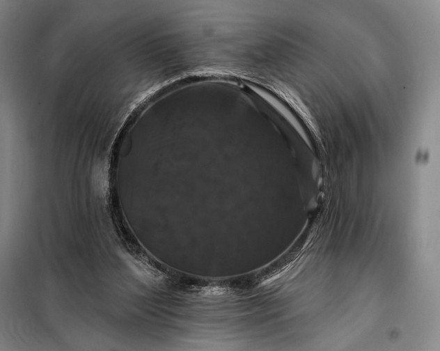 X0000098130204200805011328
