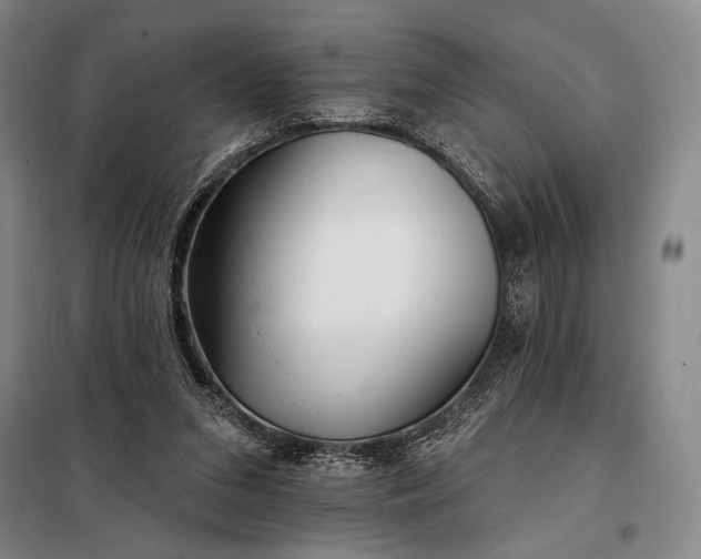 X0000098130207200805011328