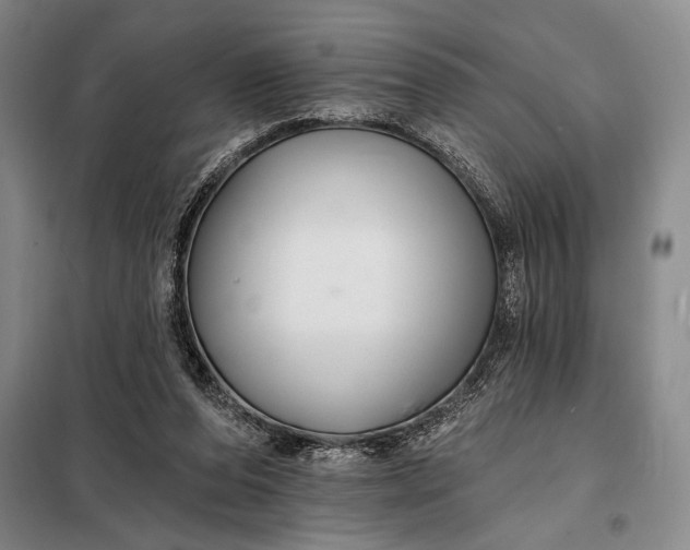 X0000098130208200805011328
