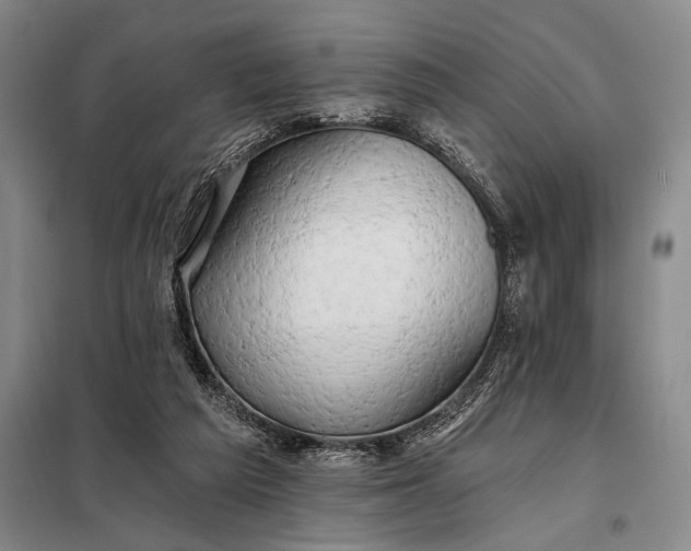 X0000098130209200805011328