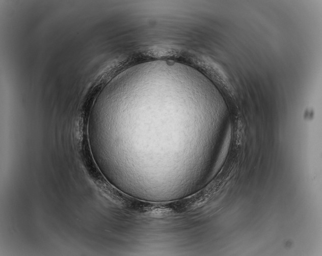 X0000098130210200805011328