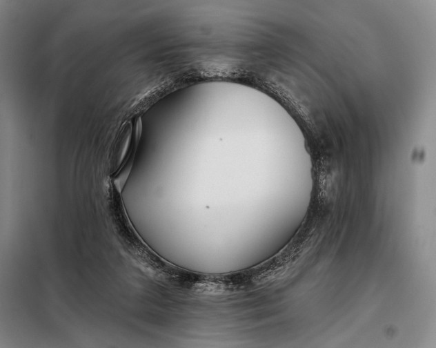 X0000098130211200805011328