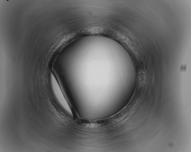 X0000098130212200805011328