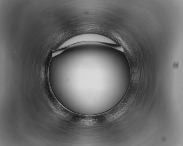 X0000098130213200805011328