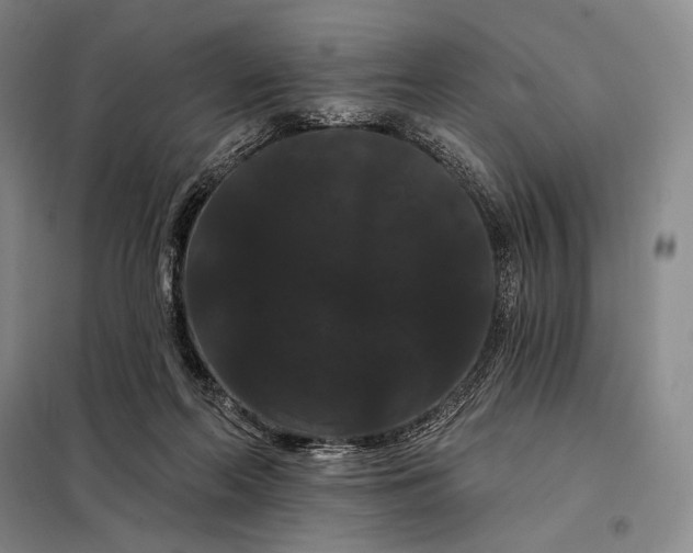 X0000098130214200805011328