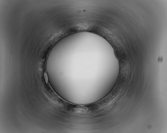 X0000098130215200805011328