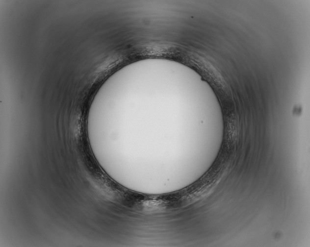 X0000098130216200805011328