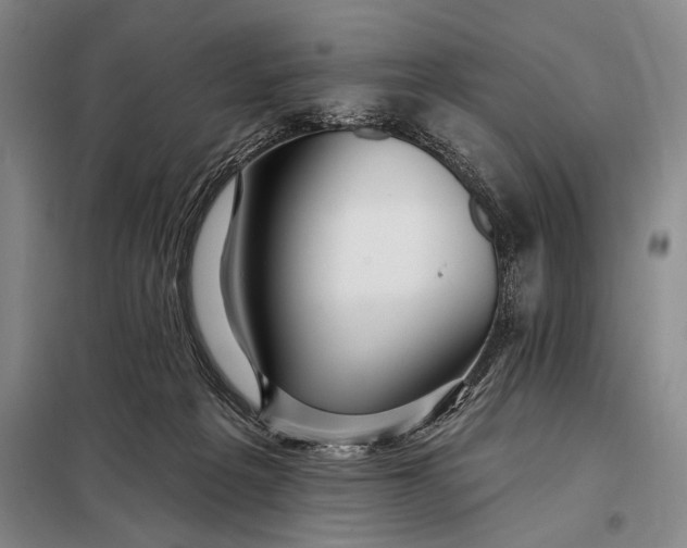 X0000098130217200805011328