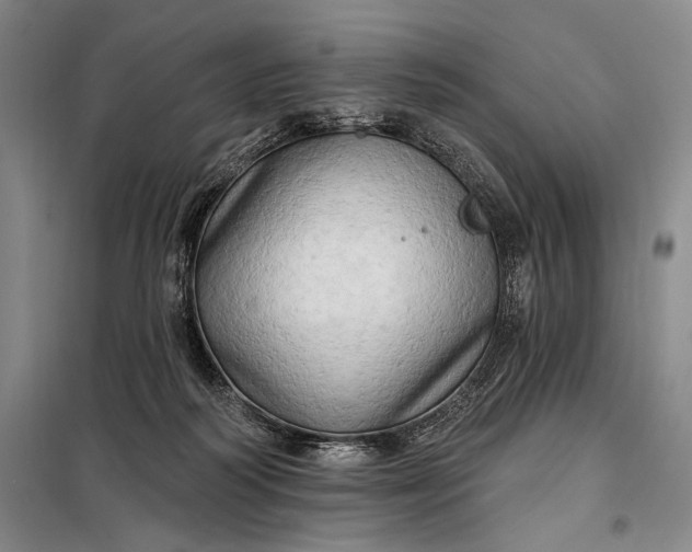X0000098130218200805011328