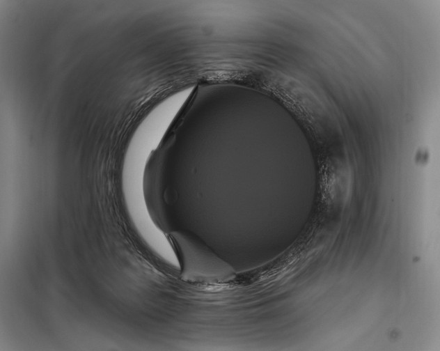 X0000098130219200805011328