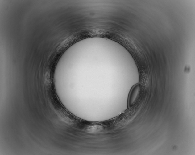 X0000098130220200805011328