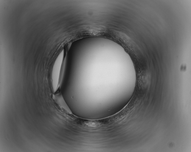 X0000098130221200805011328