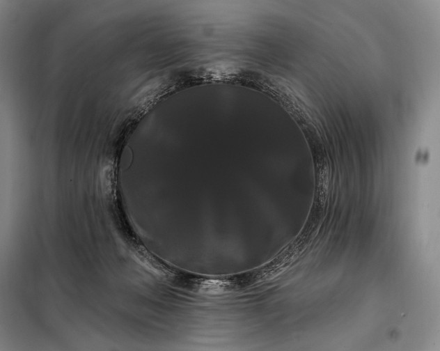X0000098130222200805011328