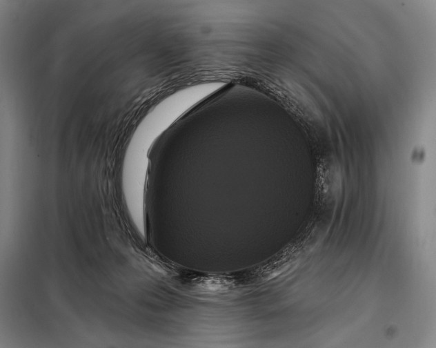 X0000098130223200805011328