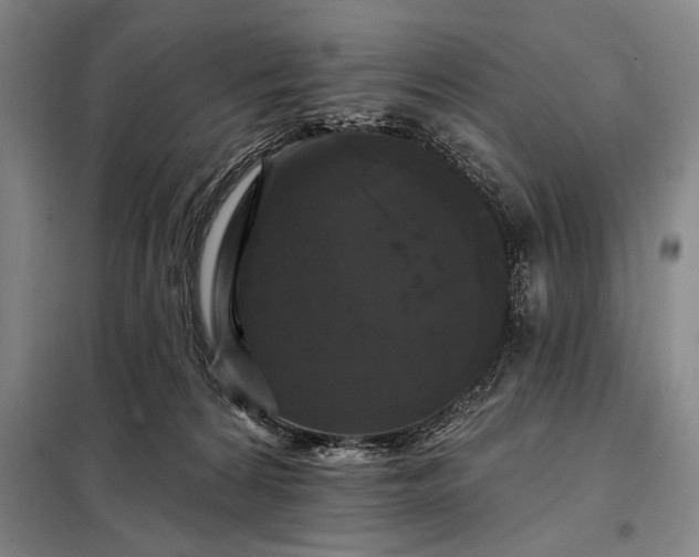 X0000098130224200805011328
