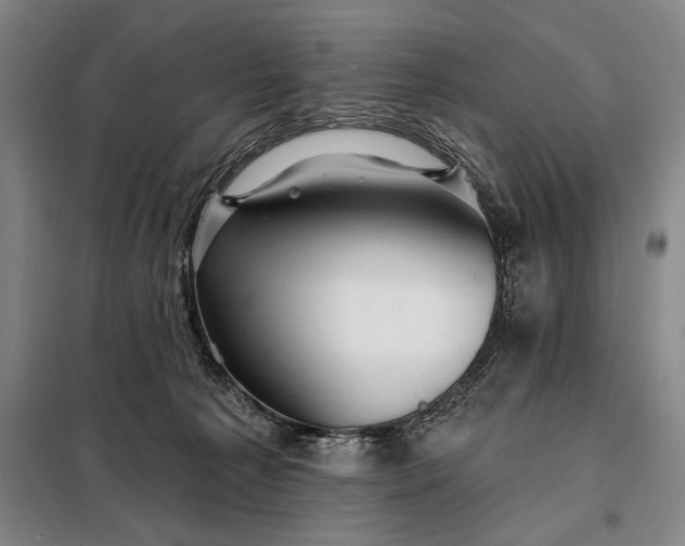 X0000098130225200805011328