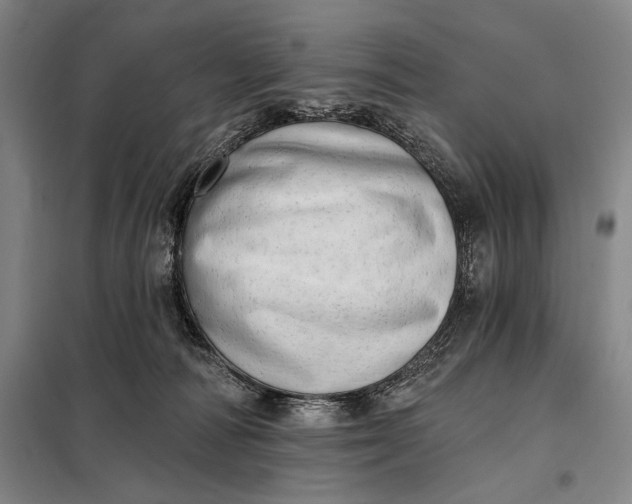 X0000098130226200805011328