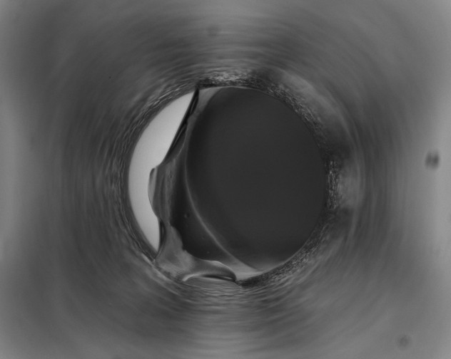X0000098130227200805011328