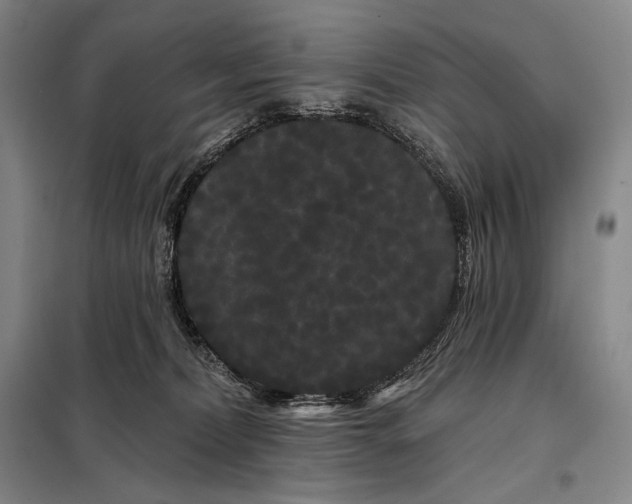 X0000098130228200805011328