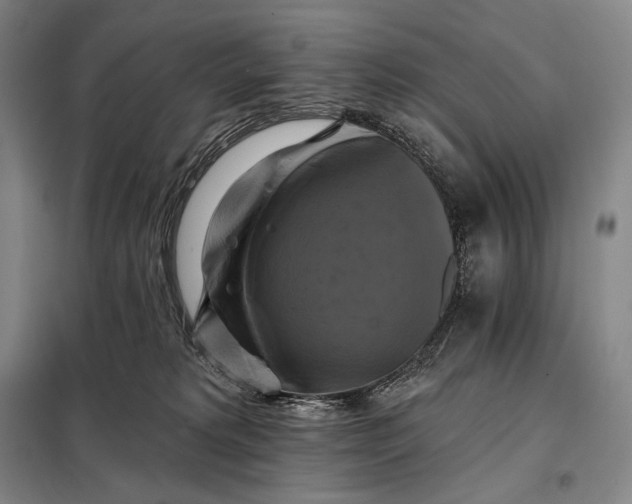 X0000098130229200805011328