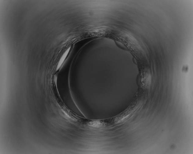 X0000098130231200805011328