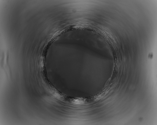 X0000098130232200805011328