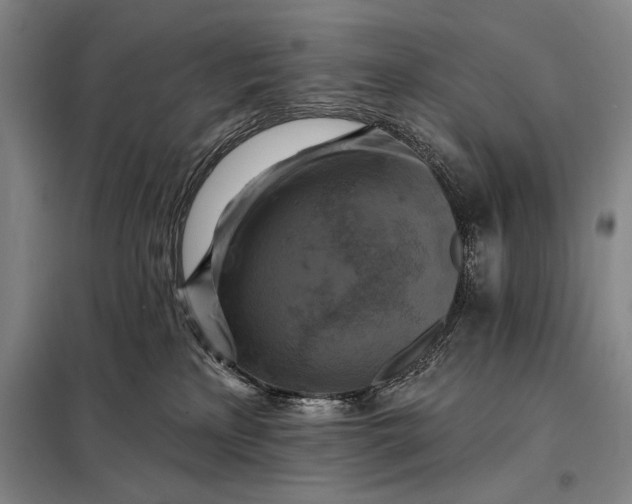 X0000098130233200805011328