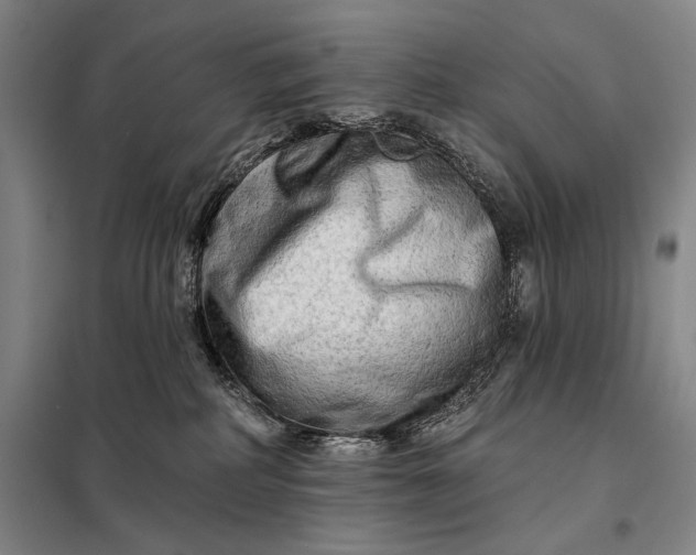 X0000098130234200805011328