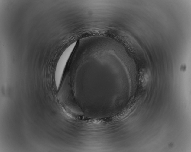 X0000098130235200805011328