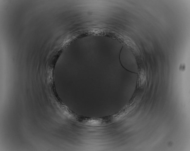 X0000098130236200805011328