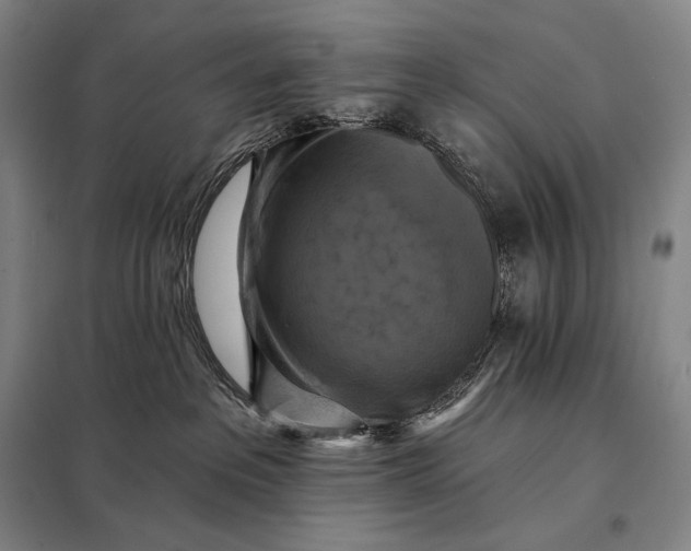 X0000098130237200805011328