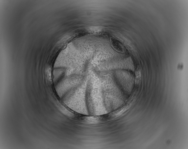 X0000098130238200805011328