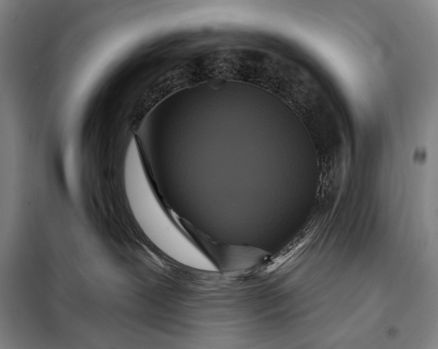 X0000098130239200805011328