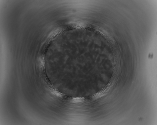 X0000098130240200805011328