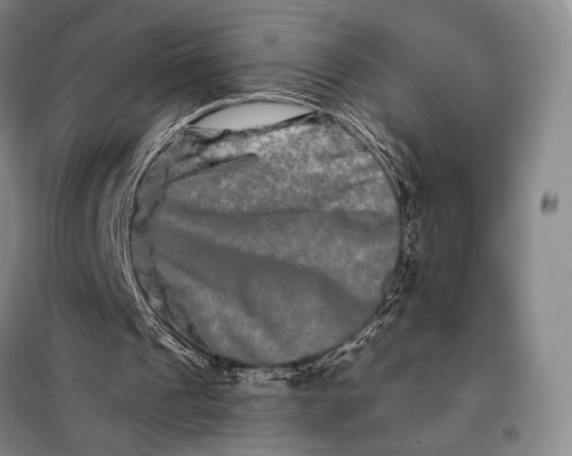 X0000098130241200805011327