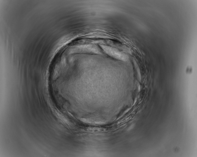 X0000098130242200805011327