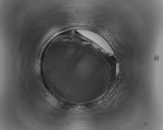 X0000098130243200805011327