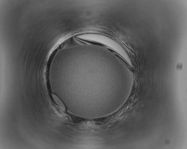 X0000098130244200805011327