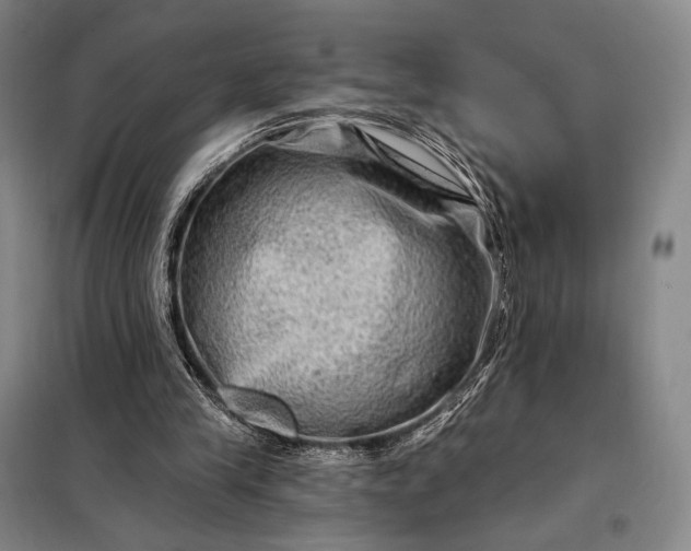 X0000098130245200805011327