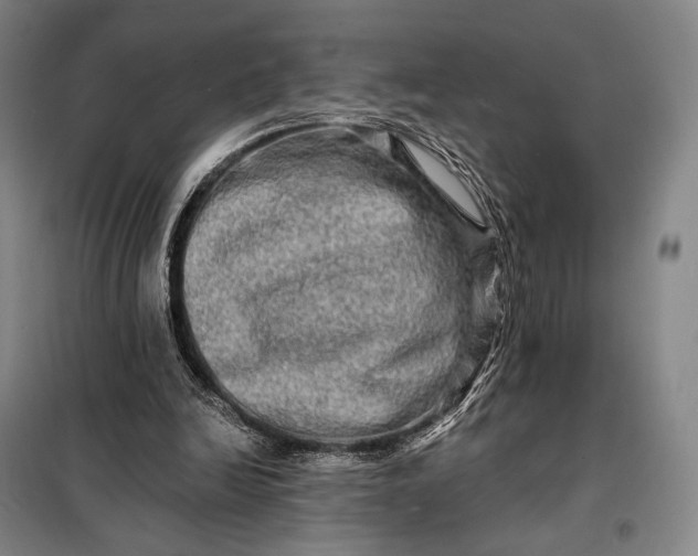 X0000098130246200805011327