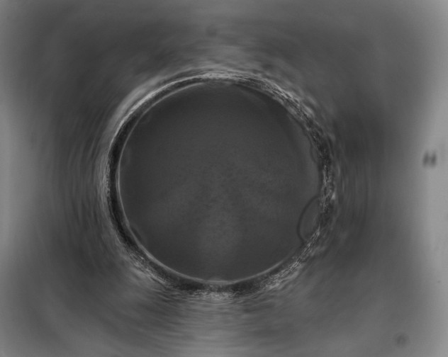 X0000098130247200805011327
