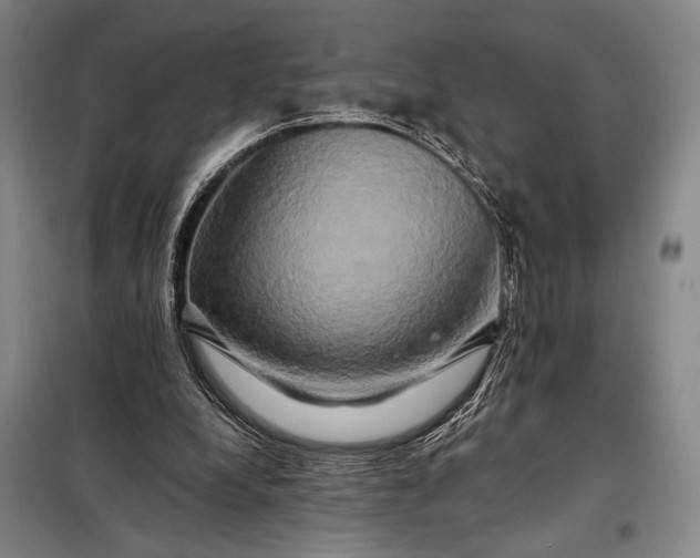 X0000098130248200805011327