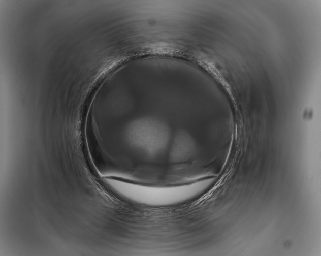 X0000098130249200805011327