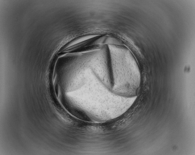 X0000098130250200805011327