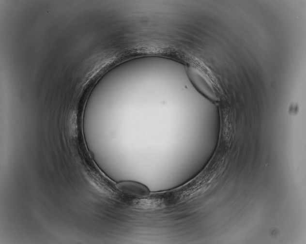 X0000098130251200805011327